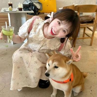 情难自禁2024