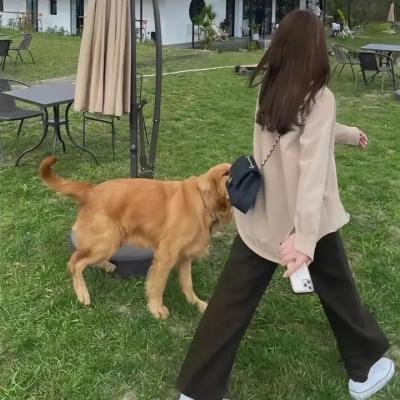 波特小姐：比得兔的故事