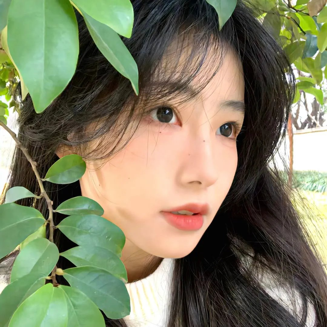 土豆的美国梦
